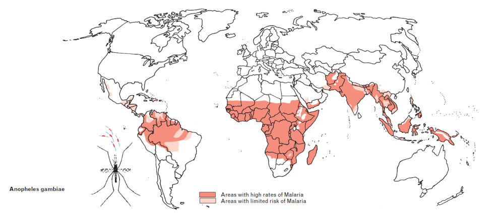 where i malaria zone